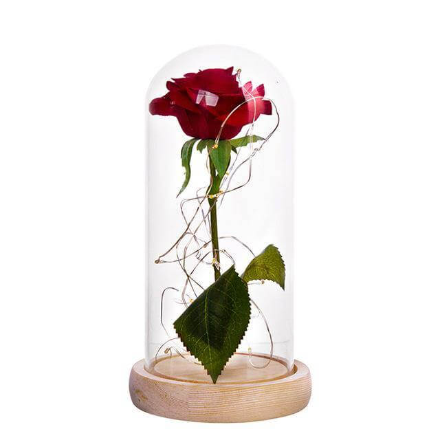 1Pcs Beast Red Rose Flower Vase