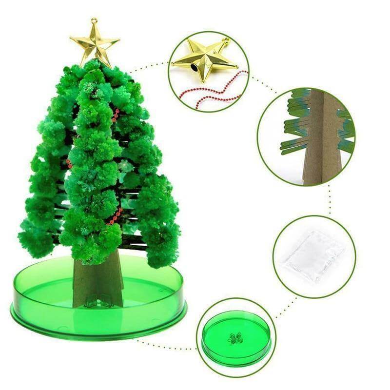 DIY Magic Growing Christmas Tree