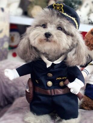 Policeman Dog Costume