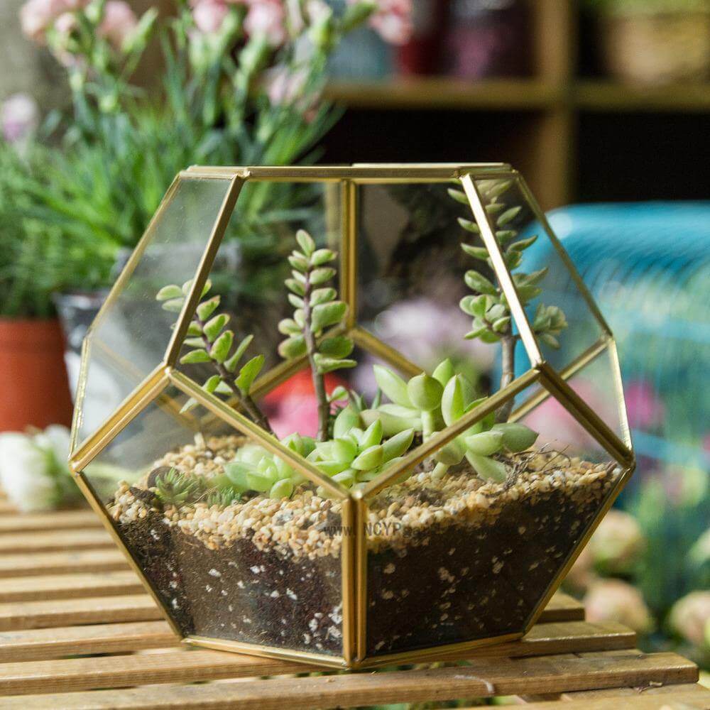 Geometric Terrarium Glass Vase