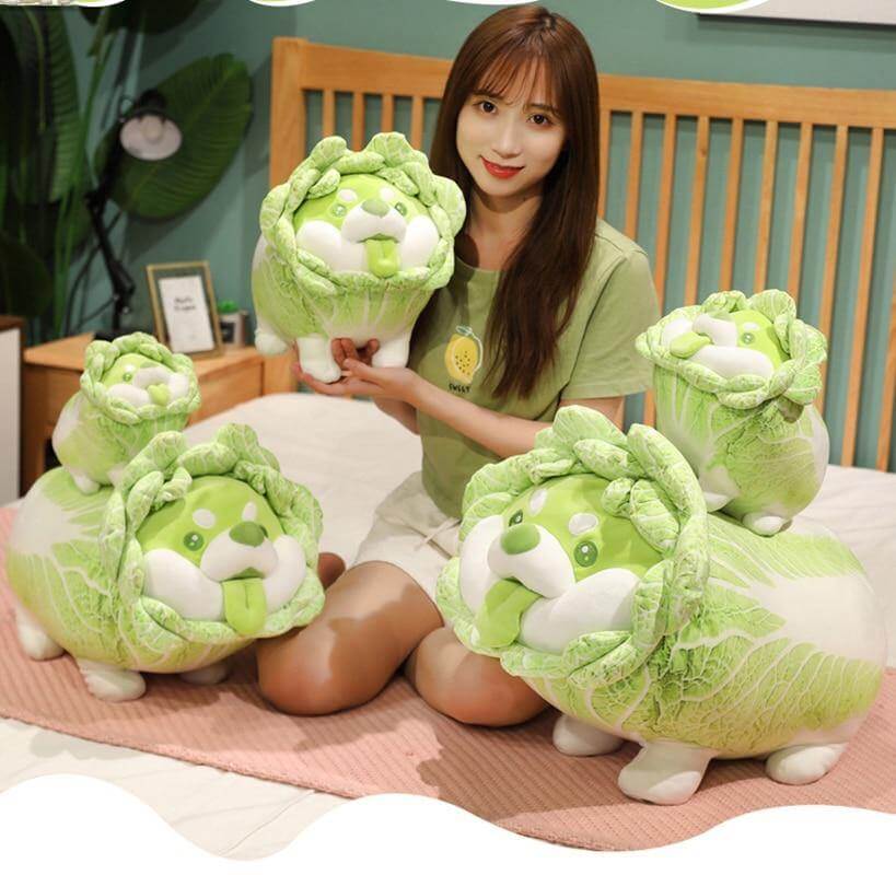 Cute Vegetable Cabbage Stuffed Dog  Pillow