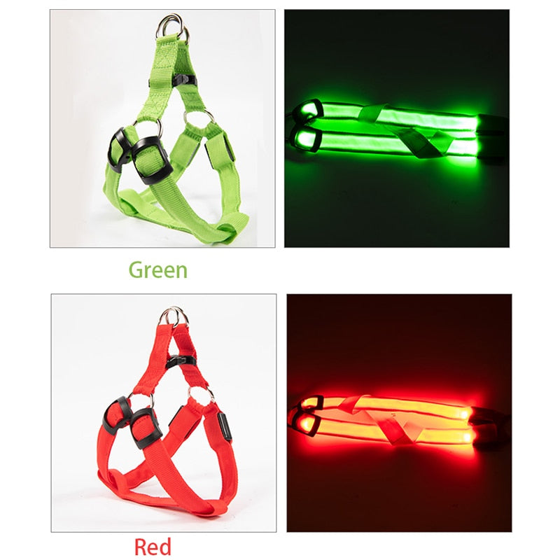 Rechargeable Luminous LED Dog Leash