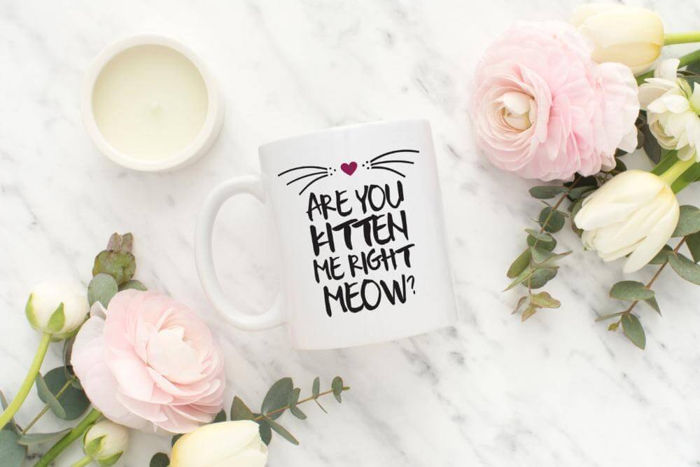 Are you kitten me right now Ceramic Mug