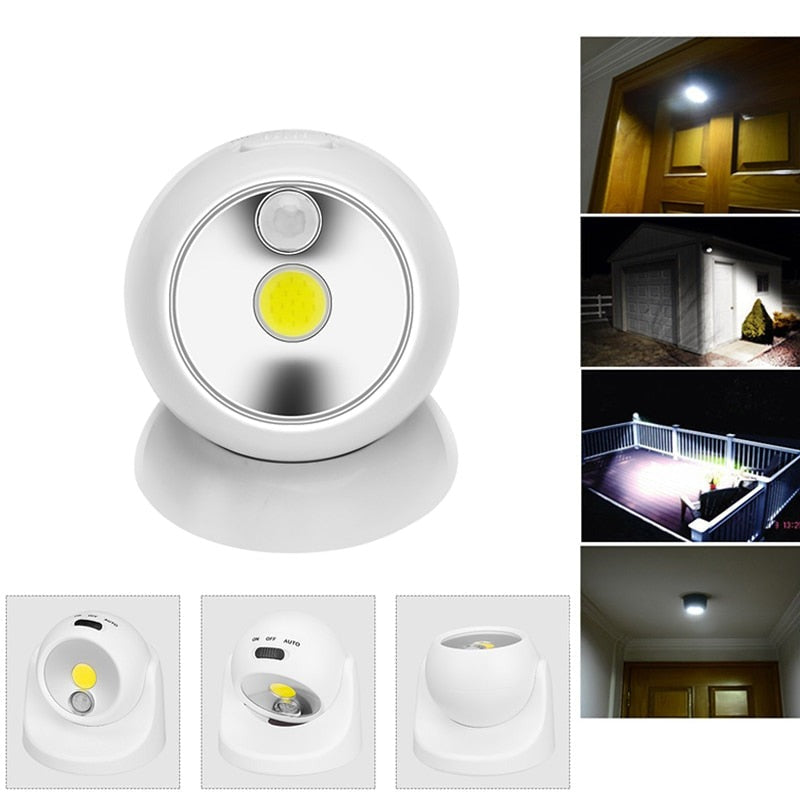 Wall Mounted Motion Sensor Light