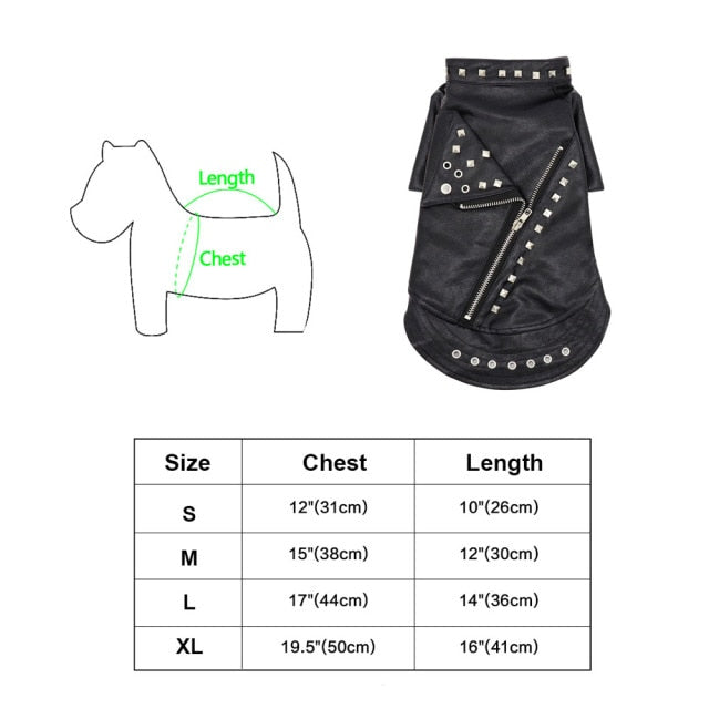 Cool Cute Leather Pet Jacket