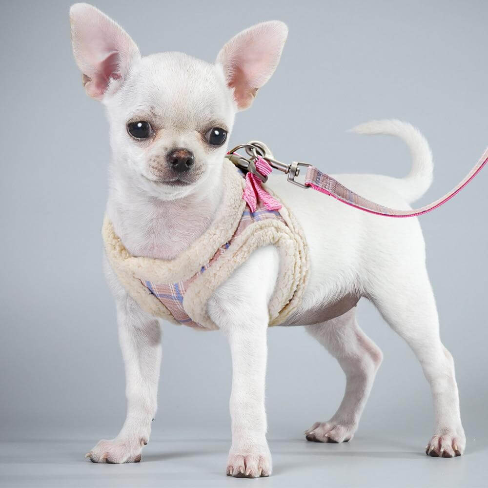 Sweet Warm Fur Pet Walking Leash