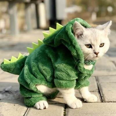 Dinosaur Funny Pet Costume