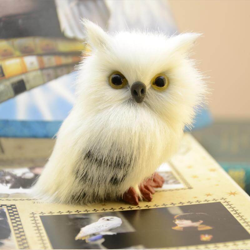 Cute Owl Home Decor