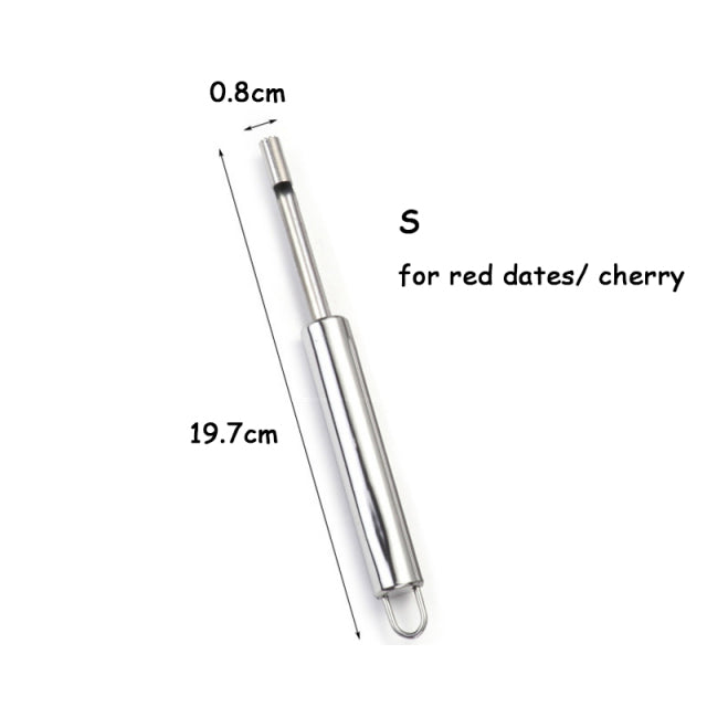 Stainless Steel Fruit Core Remover Tool