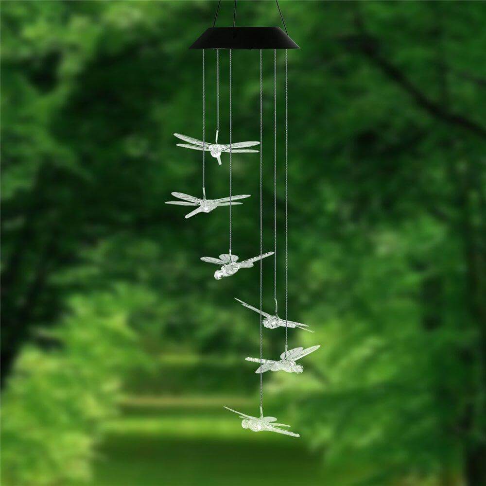 Outdoor LED Solar Hummingbirds DrangFly Lamp