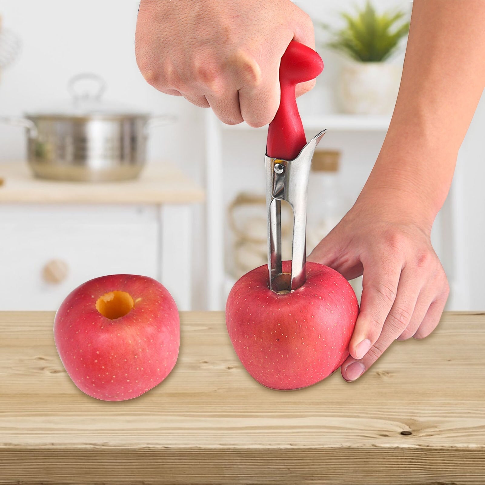 Stainless Steel Apple Seed Remover Tool