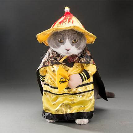 Golden King Empire Cosplay Pet Costumes