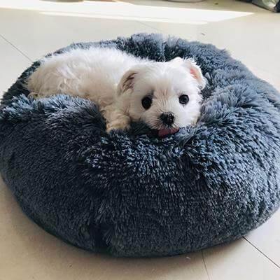 Super Soft Pet Bean Bag