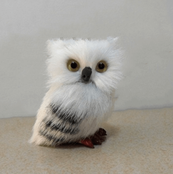 Cute Owl Home Decor