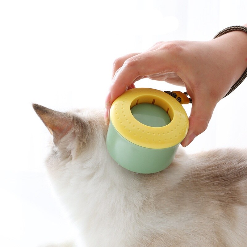 One Click Clean Mini Cat Hair Removal Brush