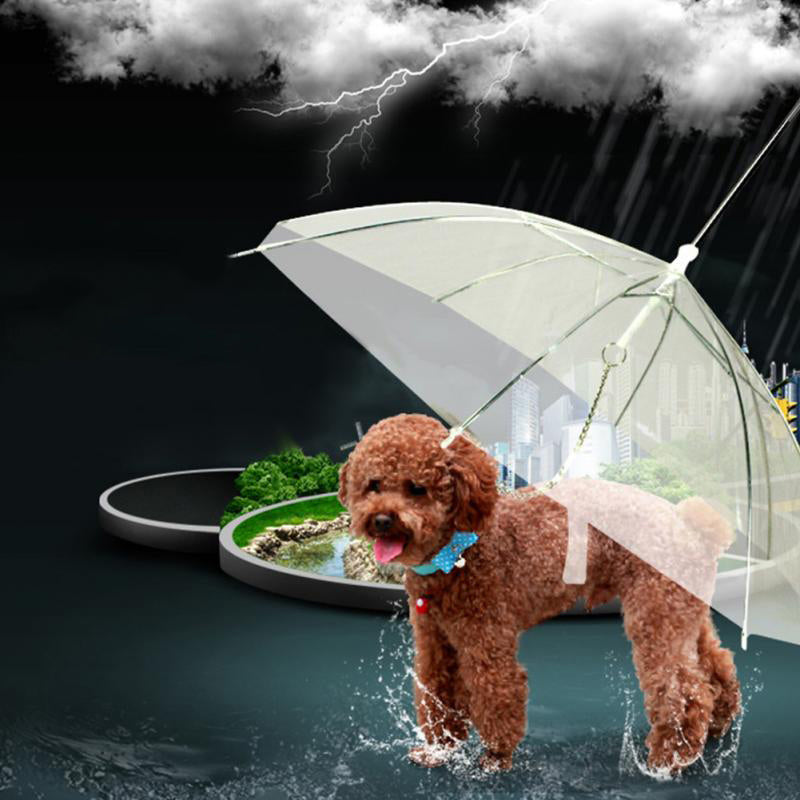 Creative Pet Walking Transparent Umbrella