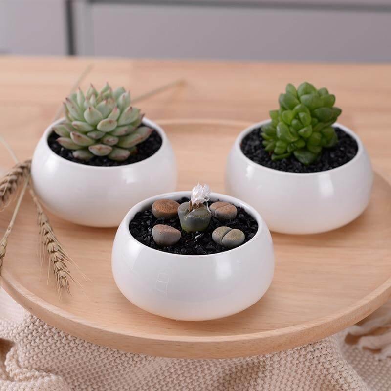 Modern Minimalist White Ceramic Flowerpot