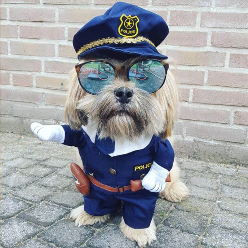 Policeman Dog Costume