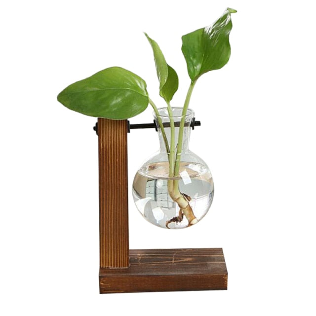 Terrarium Hydroponic Vintage Tabletop Vase