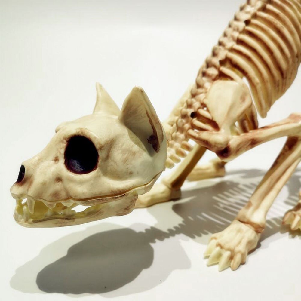 Skeleton Pet Figurines