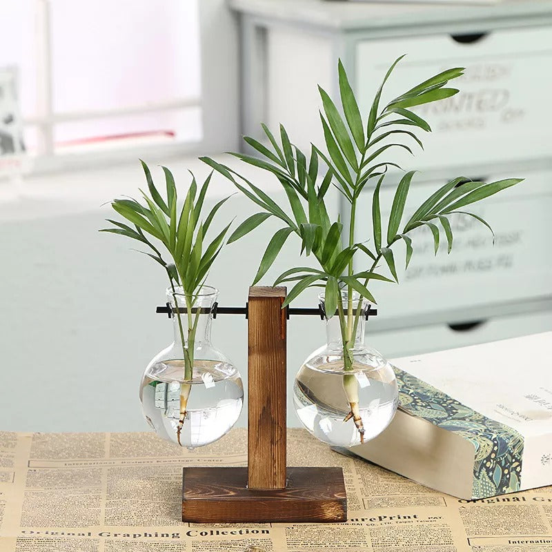 Terrarium Hydroponic Vintage Tabletop Vase