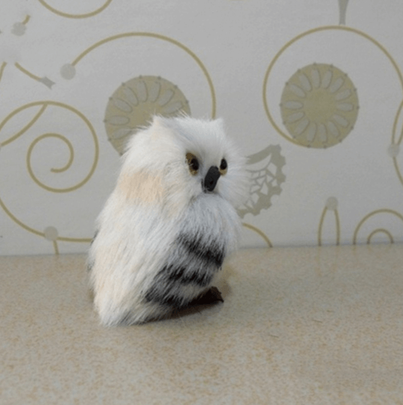 Cute Owl Home Decor