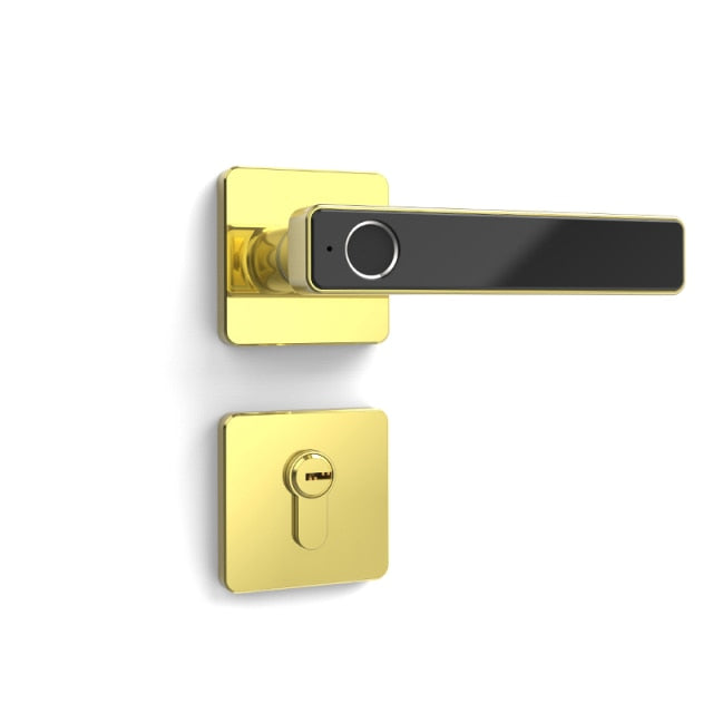 Biometric Keyless Fingerprint Smart Door Lock