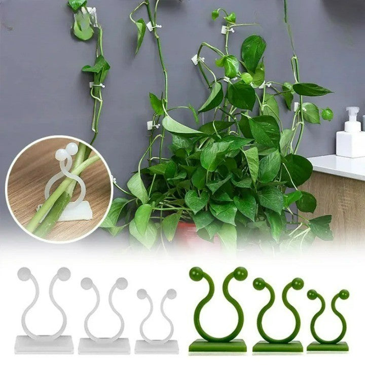 Self-Adhesive Plant Holder Mini Wall Clips