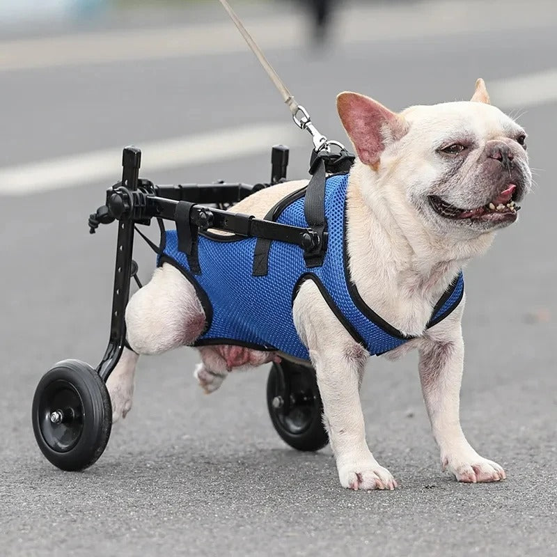 Adjustable Mobility Aid Ergonomic Dog Wheelchair