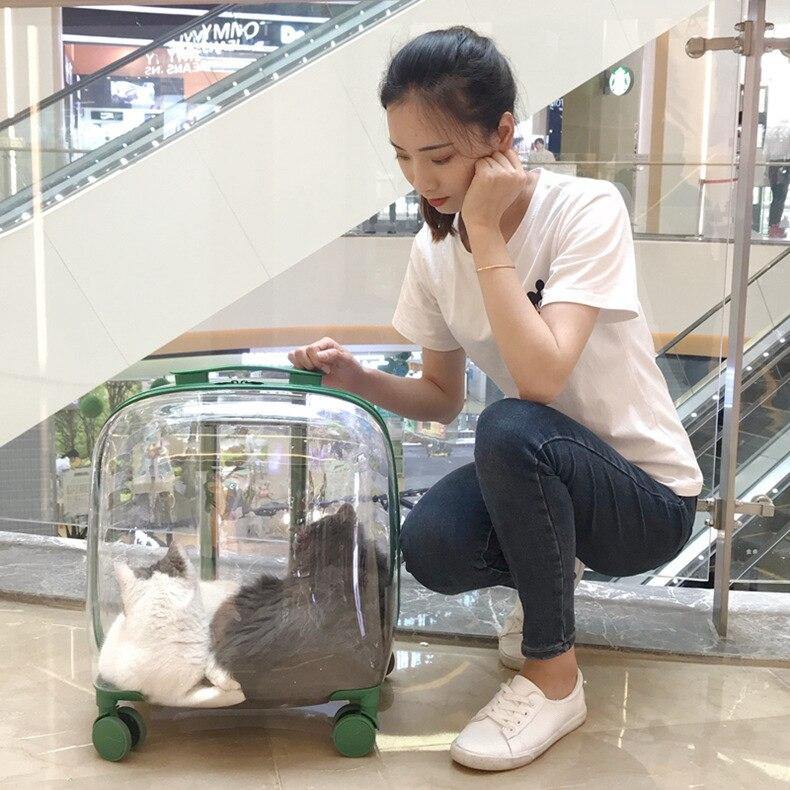 Transparent Pet Travel Trolley Capsule