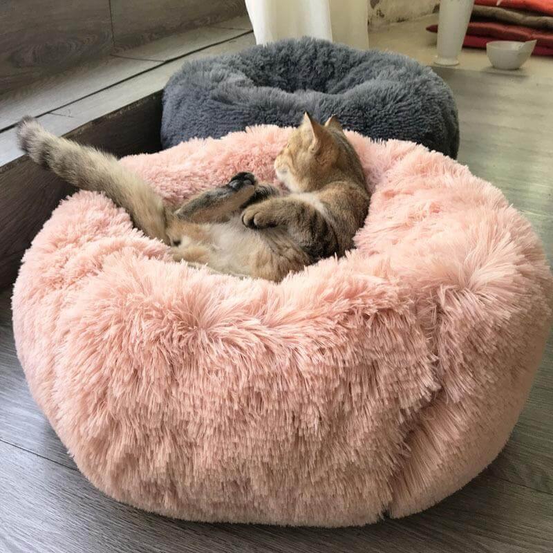 Super Soft Pet Bean Bag