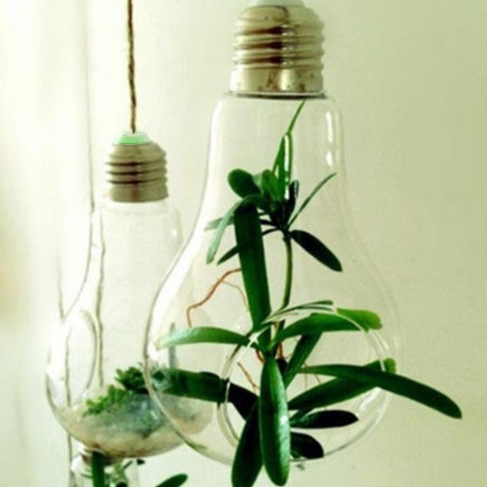 Hanging Glass Light Bulb Lamp Shape Flower Water Plant