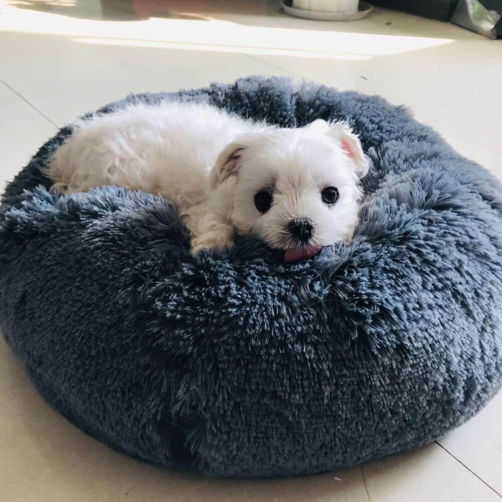 Super Soft Pet Bean Bag