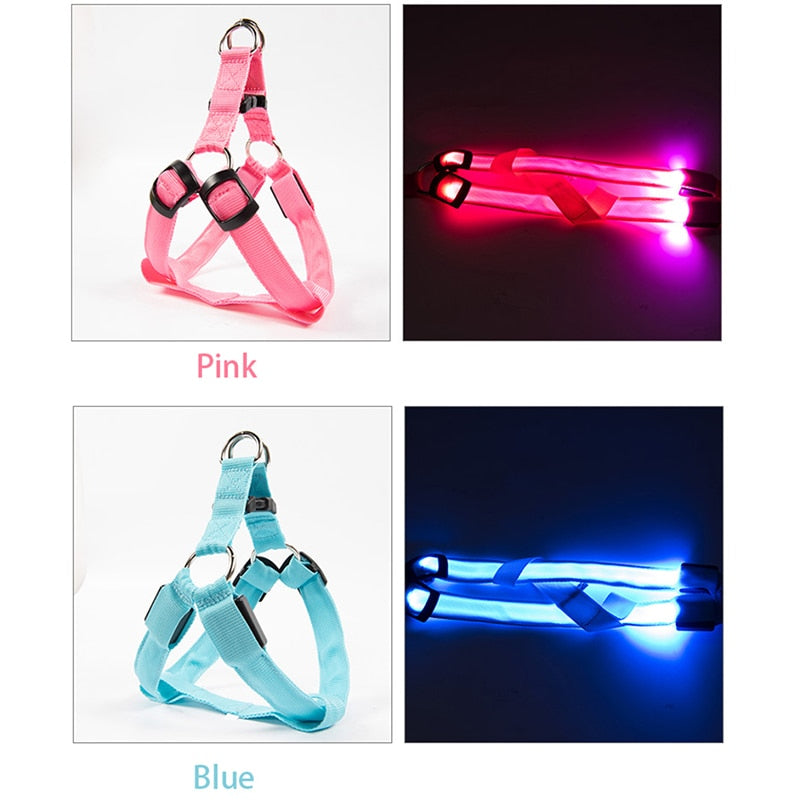 Rechargeable Luminous LED Dog Leash