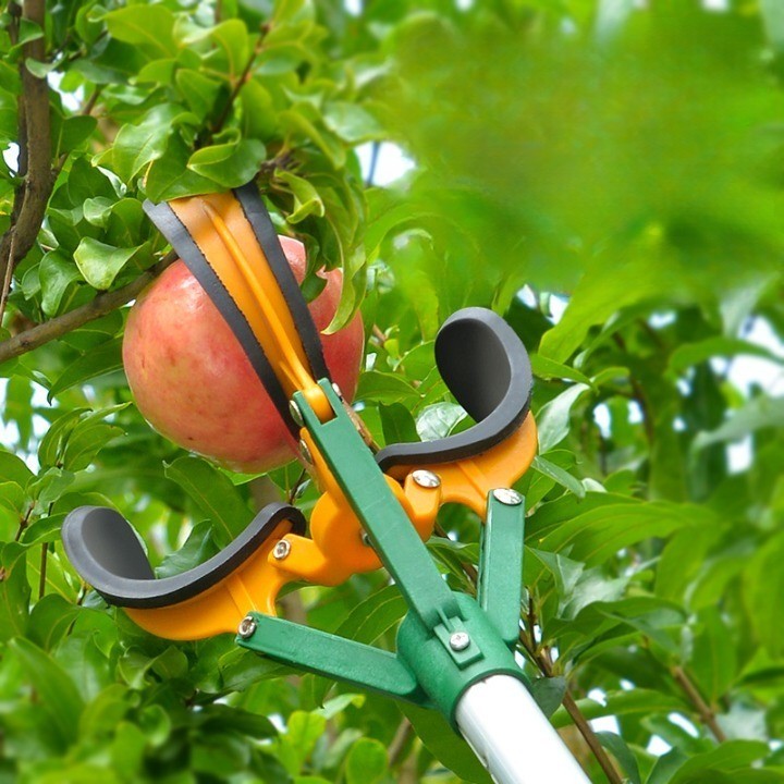 Sky High Telescopic Handle Fruit Picker