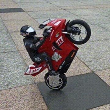 Self-Balancing Remote Control Motorcycle Toy