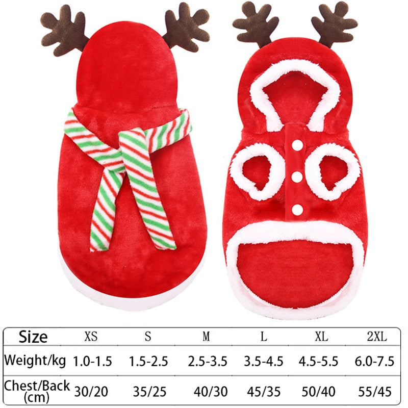 Santa Claus Home Winter Pet Costumes