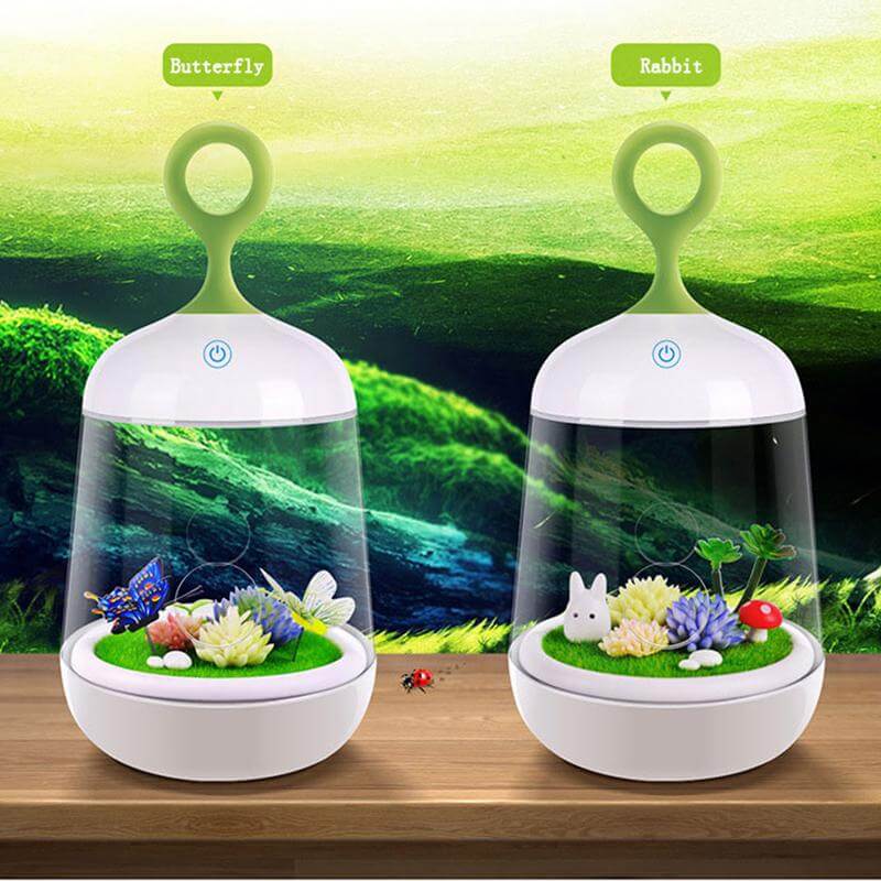 Novelty USB Charging LED Colorful Micro-landscape Plant Light