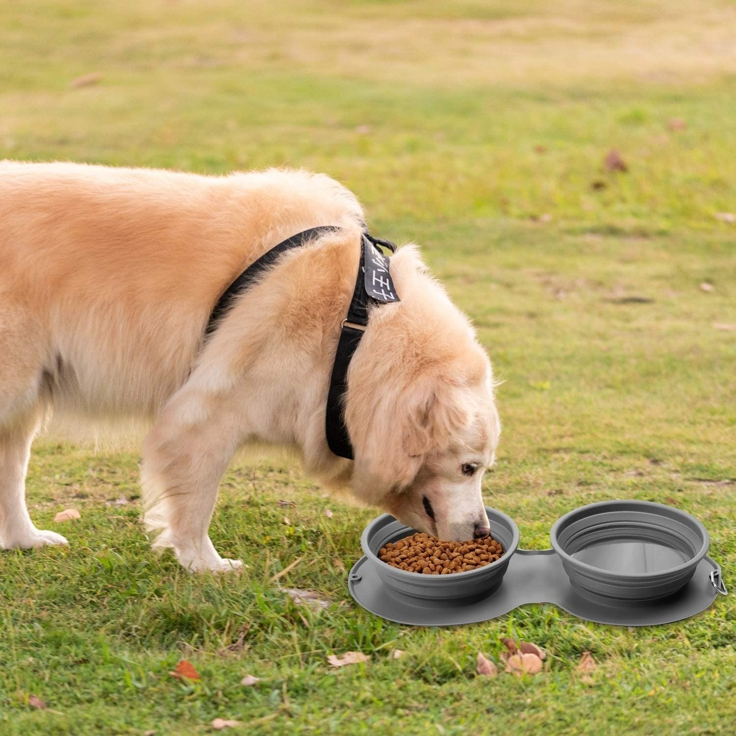 Foldable Travel Pet Double Feeding Bowl