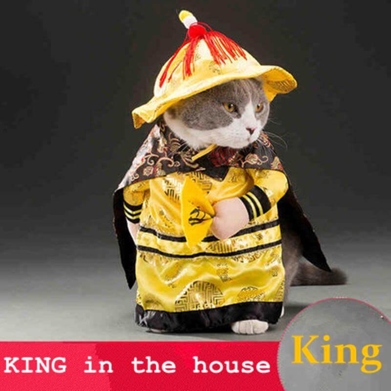 Golden King Empire Cosplay Pet Costumes