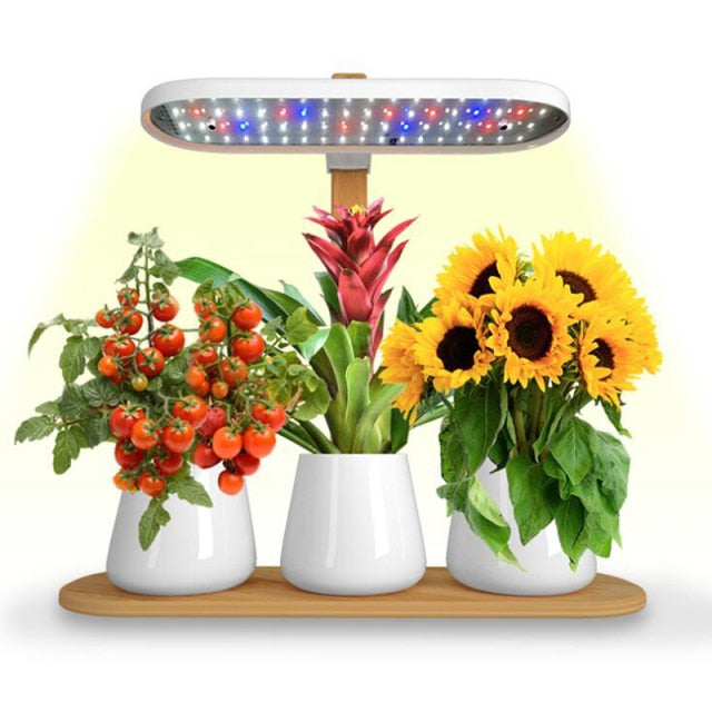 Modern Home Plant Growth Lamp Box