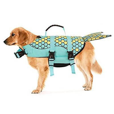 Shark Doggie Swim Vest