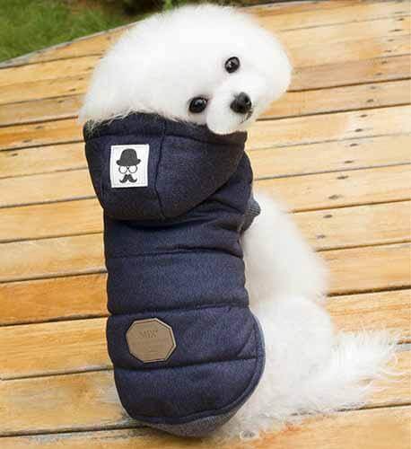 Cute Winter Pet Coat for Cat and Dogs