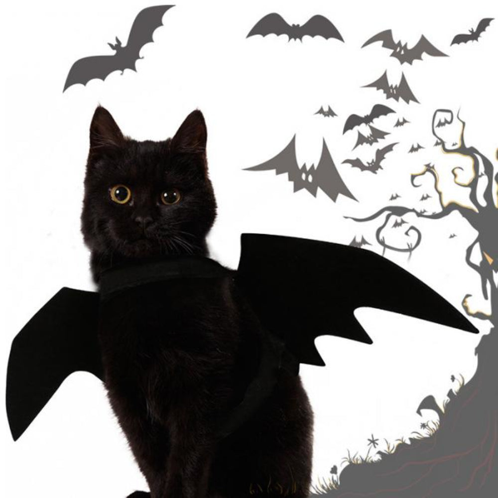 Pet Costume Bat Wing