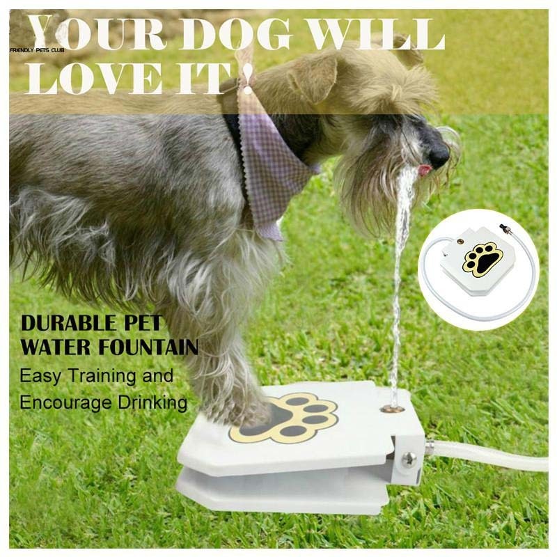 Doggie Water Fountain