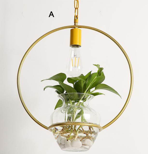 Modern Decorative Hanging Lights