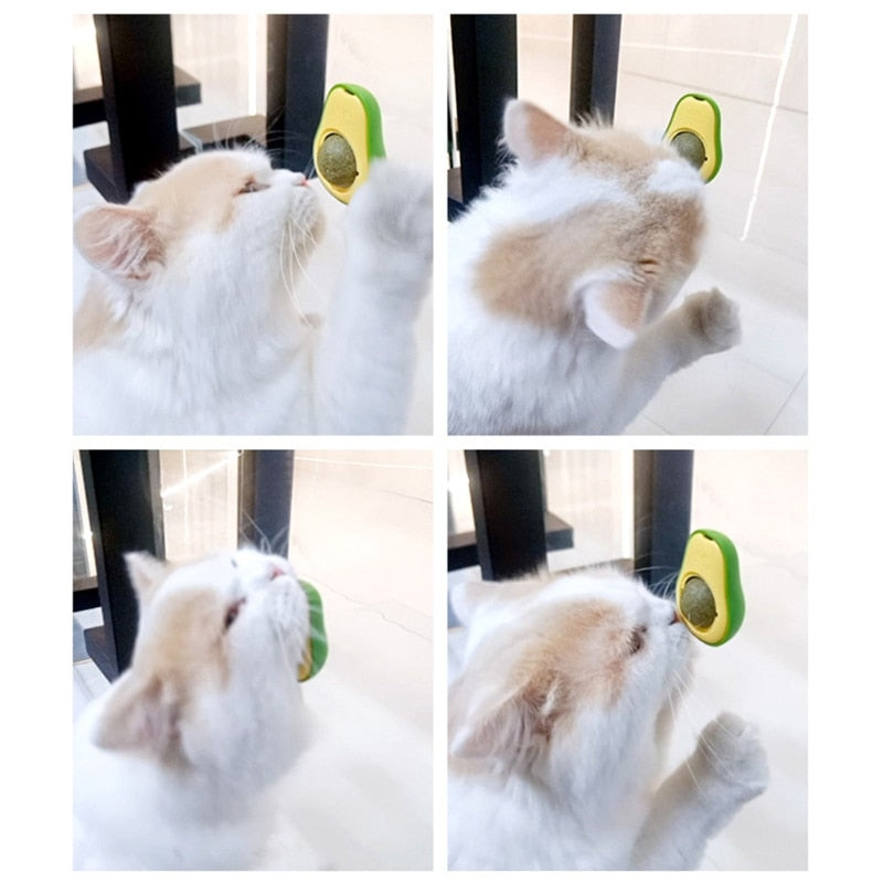 Wall-Mounted  Cat Avocado Toy Ball