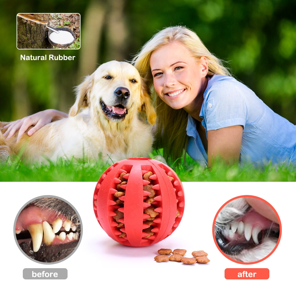 Dog Interactive Tooth Cleaning Toy Balls