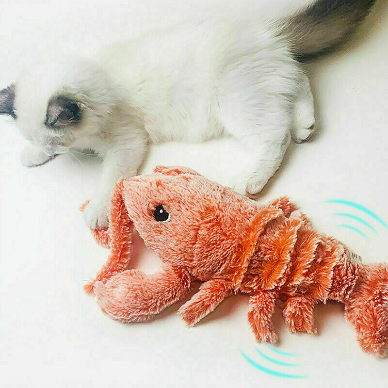 Cat Floppy Interactive Lobster Plush Toy