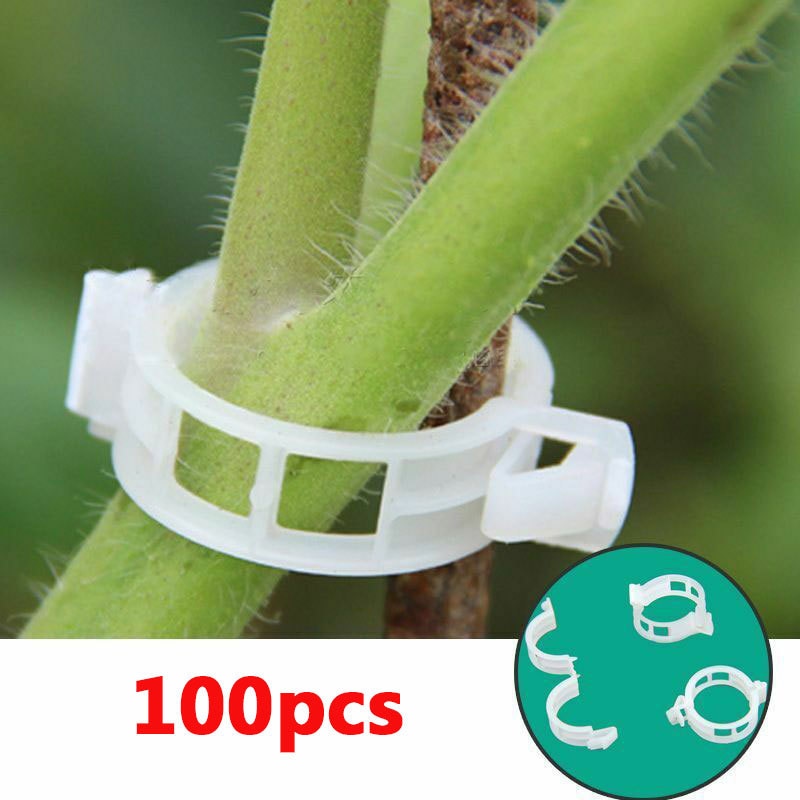 Green Garden Safe Plant Support Clips